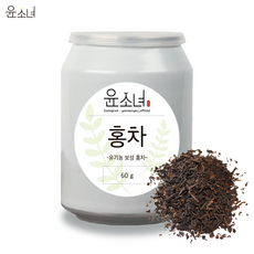 dna테스트