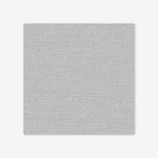 광폭합지개나리