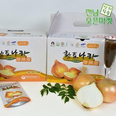 (전북오픈마켓)황토나라 원액양파즙/자색양파즙 120팩, 없음, B 황토나라 자색양파즙 120팩