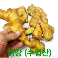 무늬생강