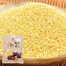 아침농산국산찰기장