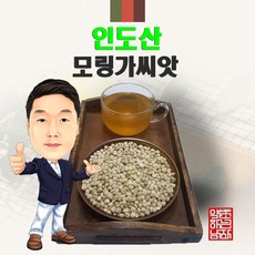 인도산 모링가씨앗 250g/200g/100g (경북 영천) 수입, 100g