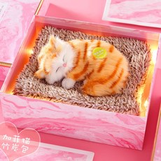 others 졸업 선물 여자 친구 생일 에 게 여자친 구