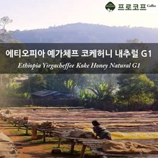 생두수분밀도계