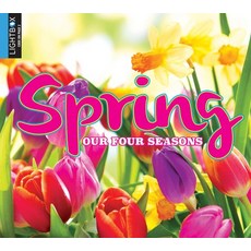 Spring Library Binding, Lightbox, English, 9781510501683
