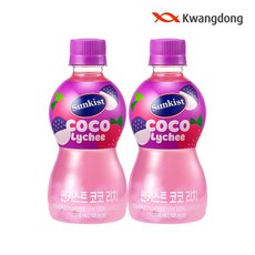 광동 썬키스트 300ml 코코 리치 12입, 12개