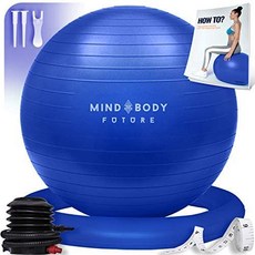 Mind Body Future 운동 용 볼 의자 (55cm 65cm 및 75cm)-요가 볼 및 스태 빌리티 링. 임신 균형 필라테스 또는 출산 요법을 위해. 사무실 체육관 또는 가정에서 사용하십시오. 폭발 방지 및 미끄럼 방지 프리미엄 등-10922, 02.65cm (높이 1.62m t, 03.리갈 블루