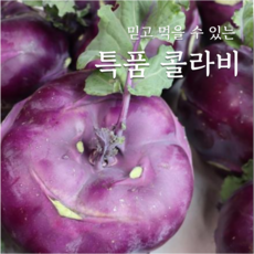 [달보드레푸드] 보랏빛 특품 콜라비, 1박스, 콜라비 5kg(8개내외)