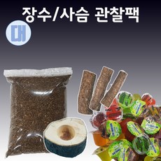 숲벌레 장수풍뎅이 사슴벌레 사육세트 대형R사육통 관찰 산란, 4번 장수사슴공용 관찰팩