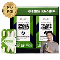 [본사기획 세트]프롬바이오 이병헌의 관절연골엔 보스웰리아 개별인정형 비타민D 마그네슘 망간 아연 1일 섭취량 100%, 1세트, 60정