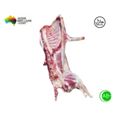 Halal Whole Lamb cut Half Lamb Australia 할랄 통양고기 컷 반 양고기 호주, 1개, 8kg