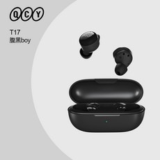 qcyt17