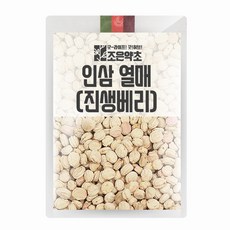 굿허브 인삼열매(진생베리) 100g, 1개