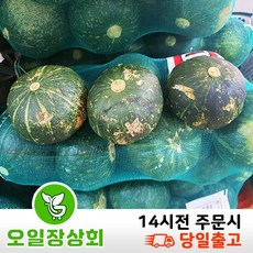 국내산 단호박 밤호박 12~15수 5kg내외 멍자국 스크레치 사진참고, 1개, 멍,스크레치5kg