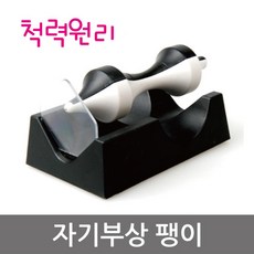 자기부상팽이