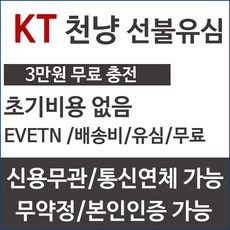 프리텔 KT선불유심 LTE데이터 유심개통 선불폰, 1gb, 90일