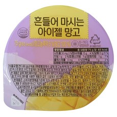 풍림푸드 흔들어 마시는 아이젤 망고 3.75kg (75g x 50EA), 75g, 50개