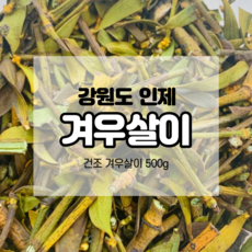 누에고치실뽑기
