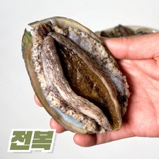 청산도전복