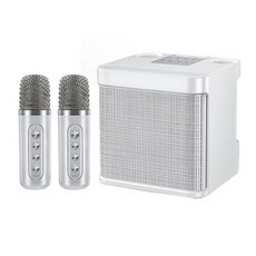 메조우퍼 120W 고출력 무선 휴대용 마이크 Bluetooth 스피커 강력한 홈 파티 가라오케 Boombox caixa de som 뮤직 센터 시어터 TV 컴퓨터 오디오 Ys219