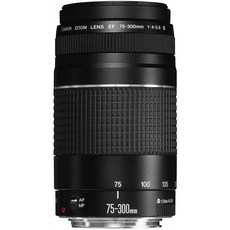 Canon EF 렌즈 EF75-300mm F4-5.6 III 줌 렌즈 망원 병행 수입품, 단일상품