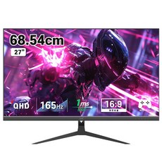 디엑스 69cm(27인치) QHD 165Hz 초고속 게이밍 컴퓨터 모니터 DX270QHD165, DX270QHD165(일반)