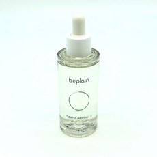 비플레인시카풀앰플