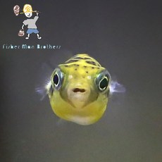 33902466a781413bb07e16b87c04d5b9c3f36b0472674dbee745d9e13455.jpg
