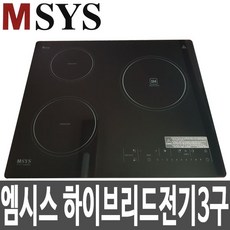 엠시스인덕션