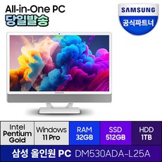 삼성전자 올인원PC DM530ADA-L25A 프로스트 화이트 윈도우11프로 일체형PC 기업용 사무용 학습용, RAM 32GB + SSD 512GB + HDD 1TB, 32GB