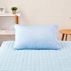 모던하우스쿨바디필로우