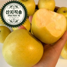댈리그램 속까지 노란 시나노골드 황금 사과 산지직송, 1박스, 5kg