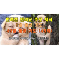 db65a29a77a60419601e5f721d4bf988a5f451668c9f38532753b829cb25.jpg