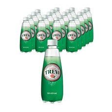 트레비 자몽 탄산음료, 300ml, 20개 20개, 300ml