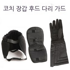 코치장갑