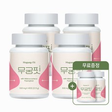 [공식] 무궁핏