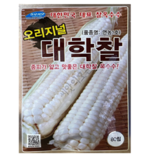 대학찰 옥수수 종피가 얇고 맛좋은 씨앗 80립, 1개