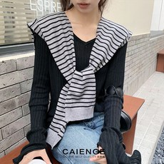 아큐리머플러