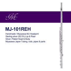 미야자와mj101