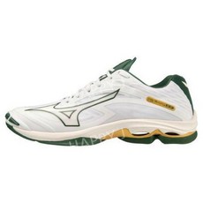 v1ga220044 TOP01