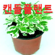 d9eb5a6f8f246e11c13017506a58993467be7ba604d4de359e825cfce246.png