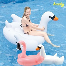 버키플라밍고튜브