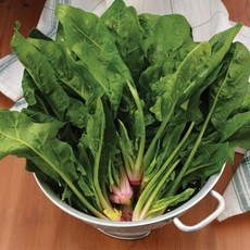[메가마트]시금치 단, 1개