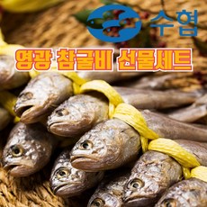 수협굴비특장대