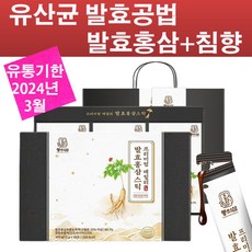 마임효본정