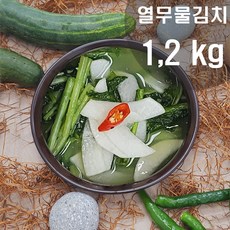 열무국물김치
