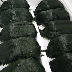 [밋앤밀] 장흥 산지직송 찰 매생이 3적 (한 적 320-350g 내외), 320g, 3개