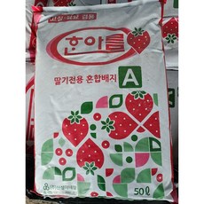 딸기상토