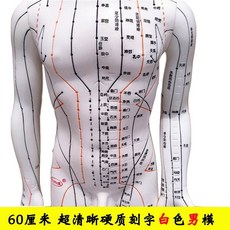 이순신스포츠 손마네킹 60CM 극 뚜렷한 각인 인체 경락 혈위치 모형 미드 침술 동인 가르치다 남성 여성 소인배 모델, 60 센치 초고화질 각인 화이트 남자