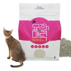 묘한매력